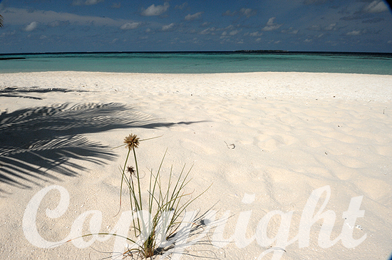Malediven - Velidhu - Island in the sun